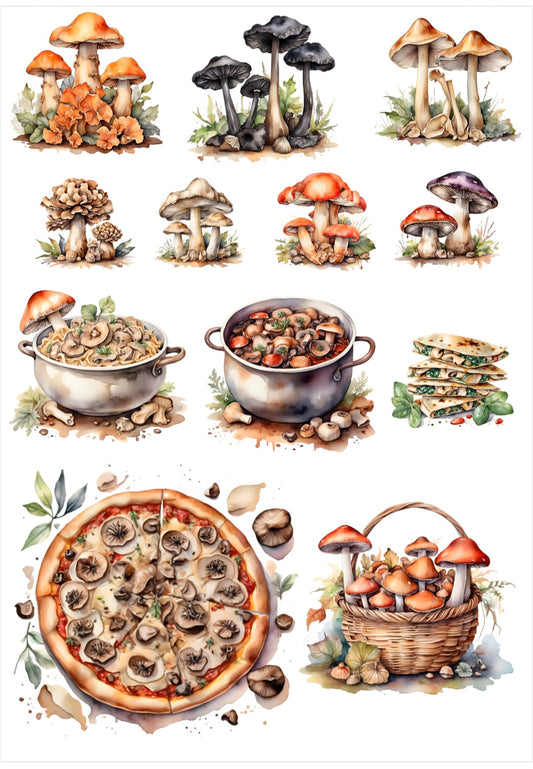 Fantasy snails, mushrooms