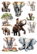 Elephant, Horse