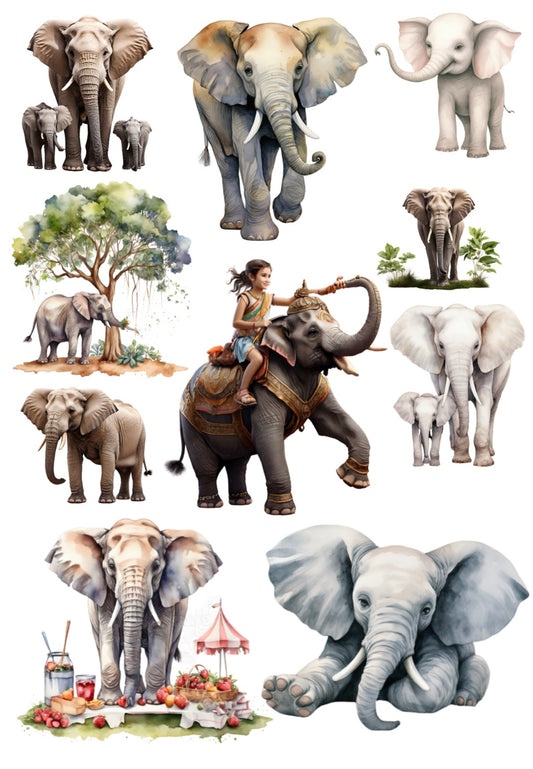 Elephant, Horse