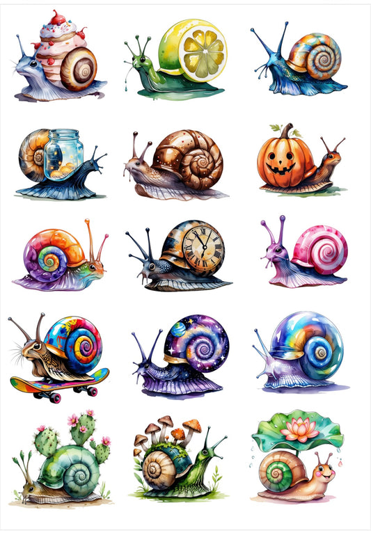 Fantasy snails, mushrooms