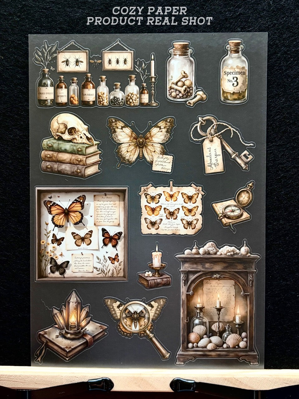 Vintage Natural Specimen Cabinet | 5.8" x 8.3" Aesthetic Matte PET Sticker Sheet for Journaling, Scrapbooking & ATC Cards